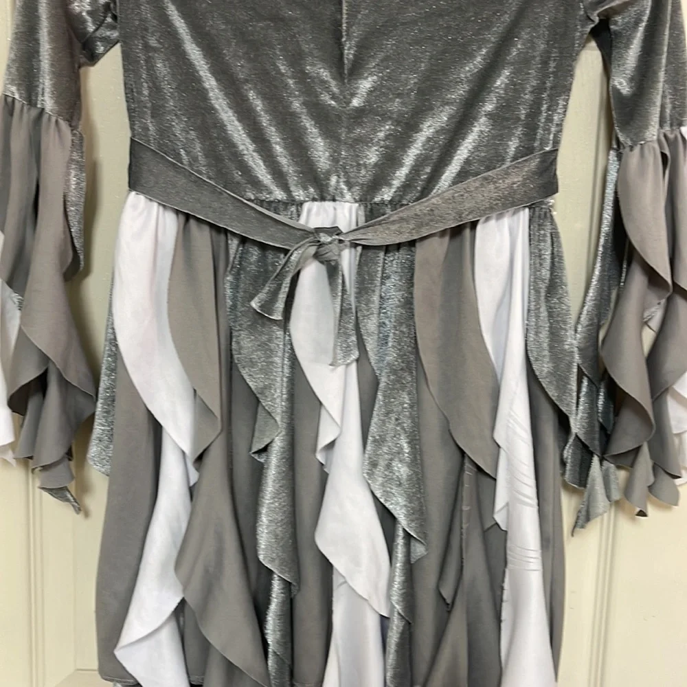 Costume. Girls size medium. See pictures! Used condition!